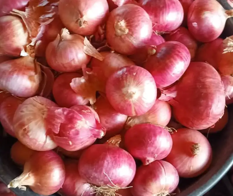 Fresh Shallots View 2